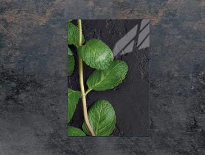 TMK ArtDeko Serie - Glazen Snijplank - 35x52 cm - Mint - Voor Inductieplaten