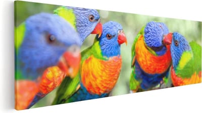 Artaza Canvas Schilderij Vogels Op Tak - 60x20 cm - Wanddecoratie Papegaaien - Muurdecoratie Dieren - Kamer Accessoires