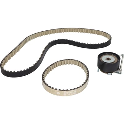 Distributieriemset (riem + poelie) INA 530 0745 10