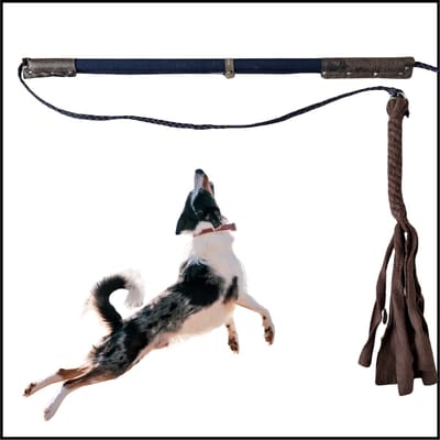 Hondenspeelgoed. Flirt Pole maat 1 in de kleuren donkerblauw en bruin. Hondenhengel - Hondentraining - speelhengel voor honden - focustraining - focusspeelgoed - speeltouw - trektouw - dog toy - dog training - ShukoGear by MadeByShuko