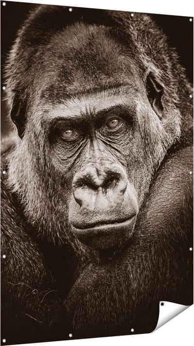 Gards Tuinposter Gorilla - Zwart Wit - 120x180 cm - Tuindoek - Tuindecoratie - Wanddecoratie buiten - Tuinschilderij