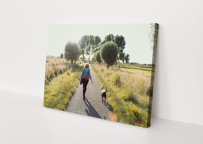 Vrouw | Park | Landschap | Stichting BY Amanda | Canvasdoek | Wanddecoratie | 60CM x 40CM | Schilderij