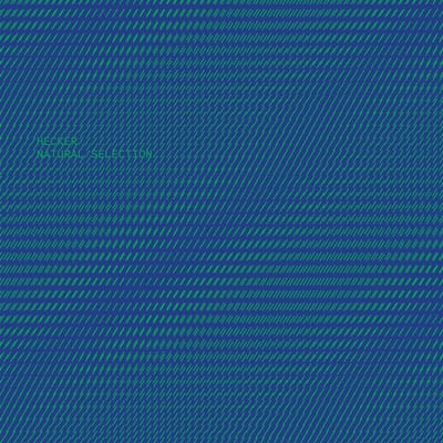 Florian Hecker - Natural Selection (CD)