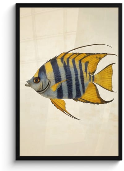 Poster in lijst - Fotolijst 60x90 cm - Posters - Vis - Sierlijk - Vinnen - Illustratie - Posterlijst zwart - Decoratie - Wanddecoratie woonkamer - Muurdecoratie slaapkamer