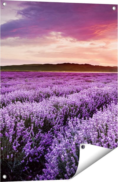 Gards Tuinposter Bloemenveld met Paarse Lavendel - Bloemen - 60x80 cm - Tuindoek - Tuindecoratie - Wanddecoratie buiten - Tuinschilderij