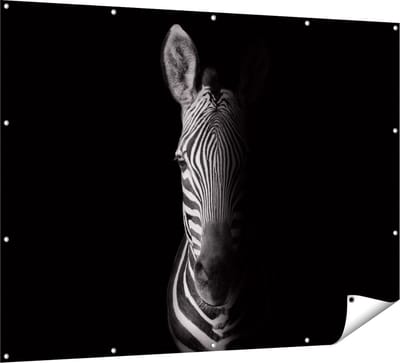 Gards Tuinposter Halve Zebra - Zwart Wit - 160x120 cm - Tuindoek - Tuindecoratie - Wanddecoratie buiten - Tuinschilderij