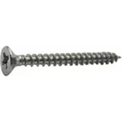 Sencys Univ. Schroef Pk Pozi 4x40mm R.v.s. Per 250