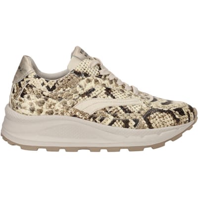 Piedinudi Sneakers - Dames - Multi - Maat:39