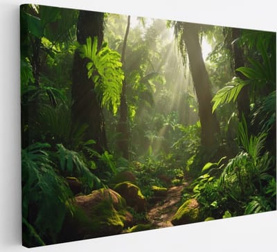 Saammp Canvas Schilderij - Natuur - Jungle met zon - landschap - 30x20 - Foto op canvas - Wanddecoratie - Muurdecoratie Woonkamer - Slaapkamer decoratie - Canvas Print