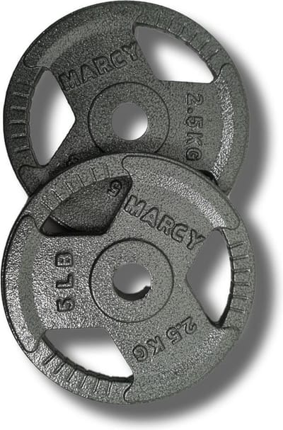 Halterschijven gietijzer set 2,5KG (2 stuks) Totaal: 5kg