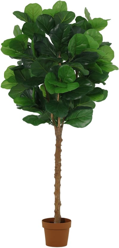 Florafy Kunstplant Ficus Lyrata 160cm - Kunstplanten voor binnen - Onderhoudsvrij