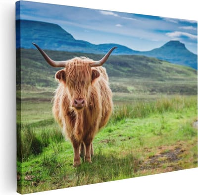 Artaza Canvas Schilderij Hooglander - 40x30 cm - Klein - Wanddecoratie Dieren - Muurdecoratie Woonkamer - Kamer Accessoires