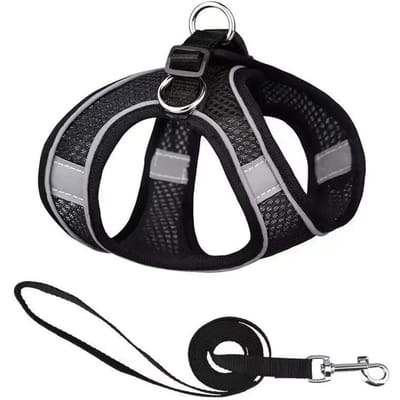 Huisdier Kat Tuigje Lijn Lood Set Reflecterend Verstelbaar Puppy Vest Tuigje Katten Kleine Middelgrote Honden Buiten Wandelen Kat Accessoires XXS black