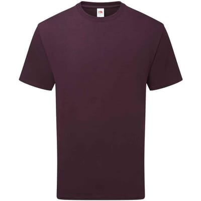 Fruit of the Loom Katoenen uniseks T-shirt voor volwassenen (Donkere Pruim)