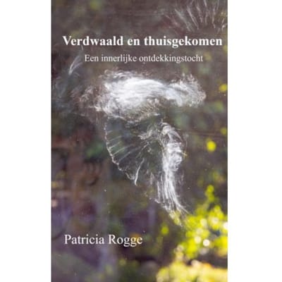 Verdwaald En Thuisgekomen - Rogge Patricia