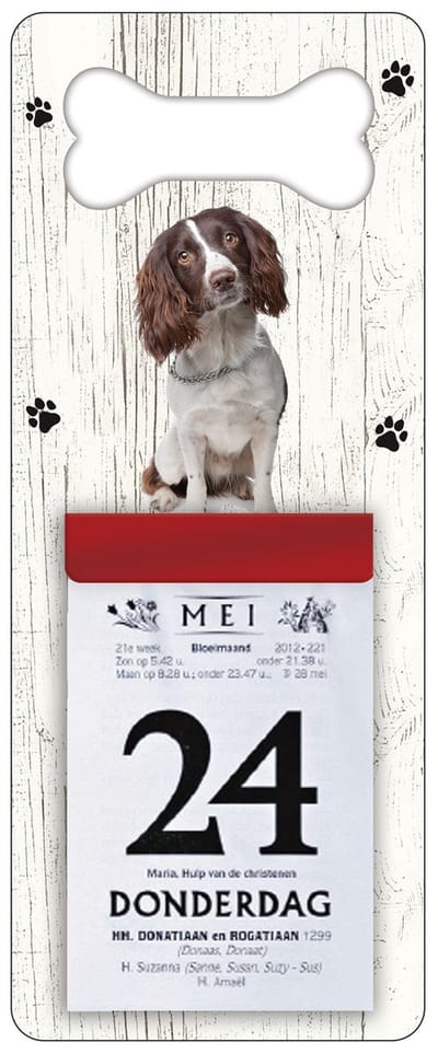 Scheurkalender 2027 Hond: Engelse Springer Spaniel