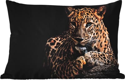 Buitenkussens - Tuin - Wilde dieren - Panter - Portret - Zwart - Dieren - 50x30 cm