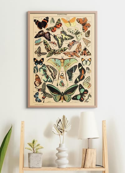 Poster In Houten Lijst - Vintage Poster Vlinders - Large 70x50 - Educatief - Dieren - Schoolplaat