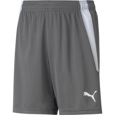 Puma Teamliga Short Kinderen - Grijs | Maat: 128
