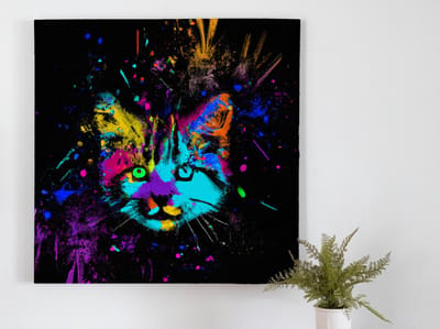 Feline frenzy | Feline Frenzy | Kunst - 60x60 centimeter op Dibond | Foto op Dibond