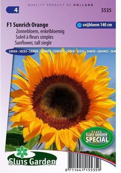 Sluis Garden - Zonnebloem F1 Sunrich Orange (Helianthus)