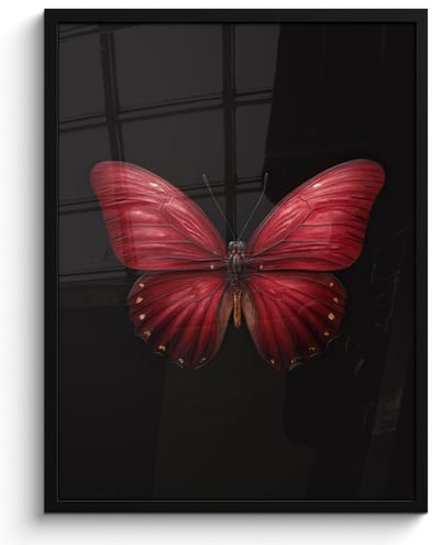 Poster in lijst - Fotolijst 50x70 cm - Posters - Vlinder - Rood - Minimalistisch - Posterlijst zwart - Decoratie - Wanddecoratie woonkamer - Muurdecoratie slaapkamer