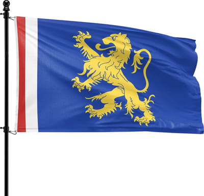 VlagDirect - Leeuwarden vlag - Gemeente Leeuwarden vlag - 90 x 150 cm.