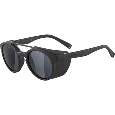 Zonnebril Alpina Glace