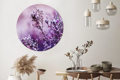 WallCircle - Wandcirkel - Muurcirkel - Lavendel - Winter - Bloemen - Paars - Aluminium - Dibond - 140x140 cm - Binnen en Buiten