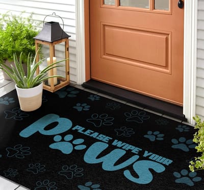 Coloray Buiten Deurmat - Blauw Deurmat Voor Buiten - Veeg je poten af Vuilvangmat Buiten - Decoratie Voor De Hal - Buitenmat Voor Alle Seizoenen - Decoratieve Buitenmat Voor Hal Of Veranda - 150x100 cm