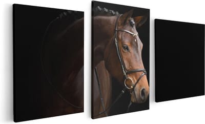 Artaza Canvas Schilderij Drieluik Bruin Paard Op Een Zwart Achtergrond - 120x60 - Foto Op Canvas - Canvas Print