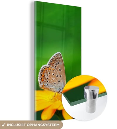 MuchoWow® Glasschilderij 20x40 cm - Schilderij acrylglas - Bloemen - Vlinder - Natuur - Foto op glas - Schilderijen