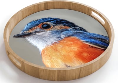 Dienblad rond 40x40 cm - Schootdienblad hout - Kleurrijk - Vogeltje - Veren - Blauw - Borrelplank rechthoek - Plateau houten dienbladen
