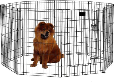 Trekker Puppyren L, 8-Paneel 61x92cm