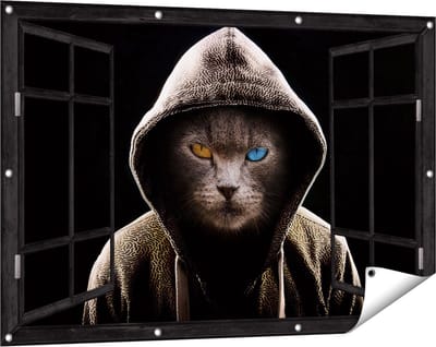 Gards Tuinposter Doorkijk Boze Kat Draagt een Hoodie - 120x80 cm - Tuindoek - Tuindecoratie - Wanddecoratie buiten - Tuinschilderij