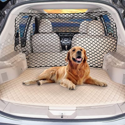 Honden Autonet - Reis Divider - Veilig Rijden - Universele Pasvorm - 120 x 70 cm - Zwart