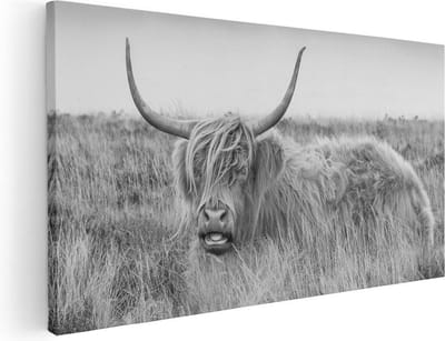 Artaza Canvas Schilderij Schotse Hooglander - 40x20 cm - Klein - Wanddecoratie Woonkamer - Muurdecoratie Zwart Wit - Schilderijen Op Canvas