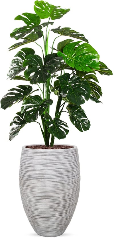 Kunstplant Monstera in Vaas elegant Deluxe rib ivoor H160 cm