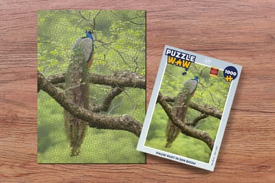 Puzzel Pauw - Veren - Boom - Legpuzzel - Puzzel 1000 stukjes volwassenen
