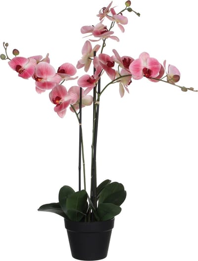 Kunstplant Orchidee / Phalaenopsis 3-tak zachtroze H75cm - HTT Decorations kunstplanten