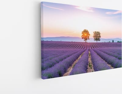 Saammp Canvas Schilderij - Lavendelveld met de zon tussen de bomen - Natuur - Landschap - 45x30 - Foto op canvas - Wanddecoratie - Muurdecoratie Woonkamer - Slaapkamer decoratie - Canvas Print