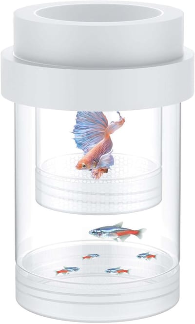 Aquarium viskweekbox van acryl met isolatie en zuignappen voor optimale kweekomstandigheden