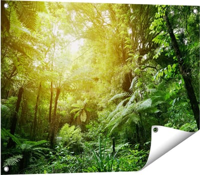 Gards Tuinposter Tropische Jungle met Zonneschijn - 80x60 cm - Tuindoek - Tuindecoratie - Wanddecoratie buiten - Tuinschilderij