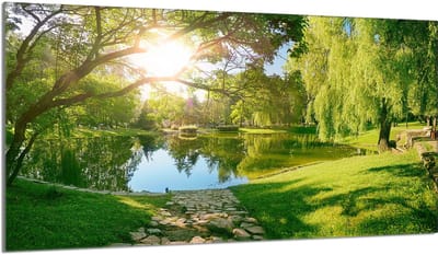TMK ArtDeko - Serie - Schuifbare Glazen Pannenbeschermer - 90x52 cm - Snel en Veilig