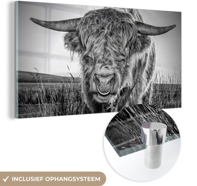MuchoWow® Glasschilderij 40x20 cm - Schilderij acrylglas - Schotse Hooglander - Zwart - Wit - Foto op glas - Schilderijen