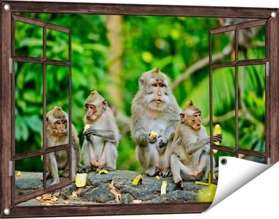 Gards Tuinposter Doorkijk Groep Apen Eten Bananen in het Bos - 90x60 cm - Tuindoek - Tuindecoratie - Wanddecoratie buiten - Tuinschilderij
