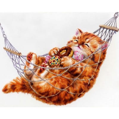 Peinture Diamant Chat Attrape Poisson Kits Point de Croix Broderie Diamant Strass Arts 20X30CM beige