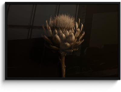 Poster in lijst - Fotolijst 120x80 cm - Posters - Donkerbruin - Bloem - Textuur - Artisjok - Posterlijst zwart - Decoratie - Wanddecoratie woonkamer - Muurdecoratie slaapkamer