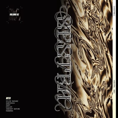 Various Artists - Vasstr01 - Vol 2 (Sylvie Maziarz) (LP)