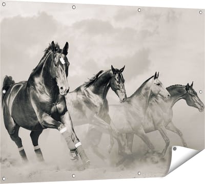 Gards Tuinposter Vier Paarden naast Elkaar - Zwart Wit - 120x90 cm - Tuindoek - Tuindecoratie - Wanddecoratie buiten - Tuinschilderij